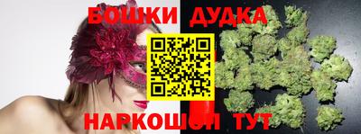 мдпв Лесосибирск