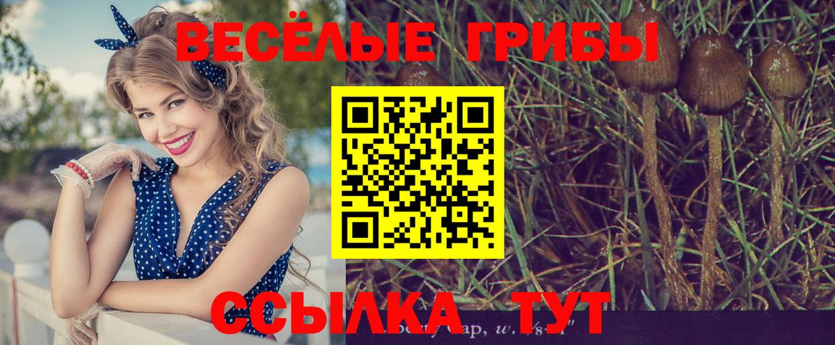 Псилоцибиновые грибы GOLDEN TEACHER  Псилоцибиновые грибы Psilocybe  Вход с VPN  Вольск 
